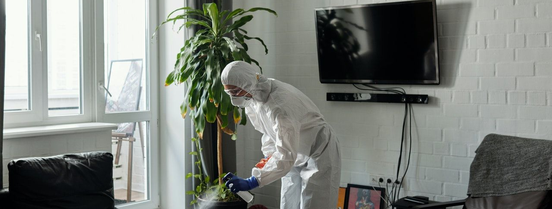 StayFresh Property Services